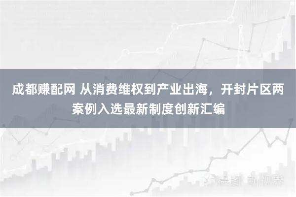 成都赚配网 从消费维权到产业出海，开封片区两案例入选最新制度创新汇编