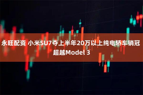 永旺配资 小米SU7夺上半年20万以上纯电轿车销冠 超越Model 3