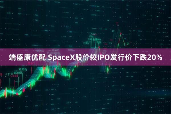 端盛康优配 SpaceX股价较IPO发行价下跌20%