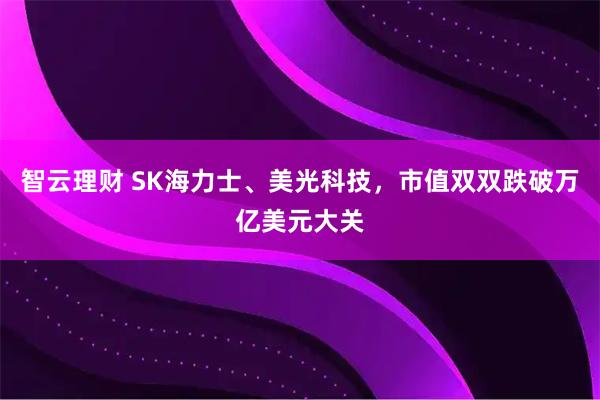 智云理财 SK海力士、美光科技，市值双双跌破万亿美元大关